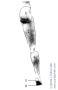 Regiones Membri Inferioris 2 * Regiones membri inferioris (Aspectus posterior)
1 - Regio glutaealis, 
2 - Regio femoralis posterior,
3 - Regio genus posterior,
4 - Regio cruralis posterior= Reg. suralis,
5 - Regio calcanea,
6 - Planta pedis.